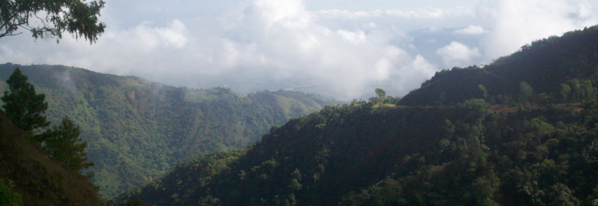 Reserva Científica Ebano Verde Excursión