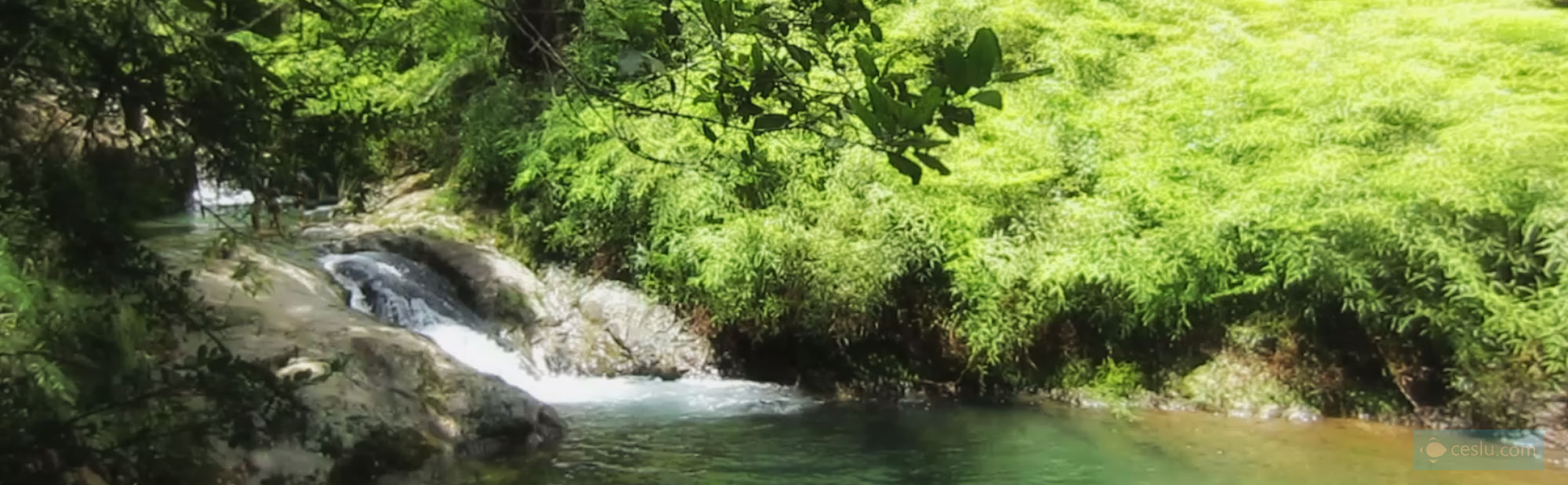 Reserva Científica Ebano Verde