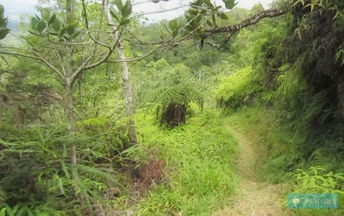 Galería de Fotos - Reserva Científica Ebano Verde