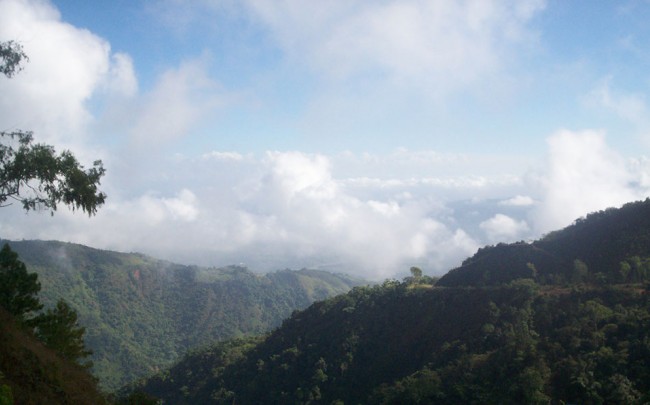 Reserva Científica Ebano Verde