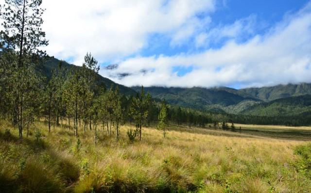 Valle del Tetero, Turismo en República Dominicana